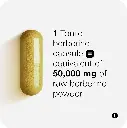 71jEDkBjg4L._AC_SL1500_.webp