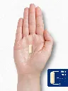 71EUgUo5tVL._AC_SL1500_.webp