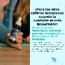 71vOmtkXOxL._AC_SL1500_.webp