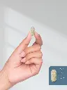 61RczqnQzoL._AC_SL1500_.webp