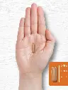 71DCou8+9ZL._AC_SL1500_.webp