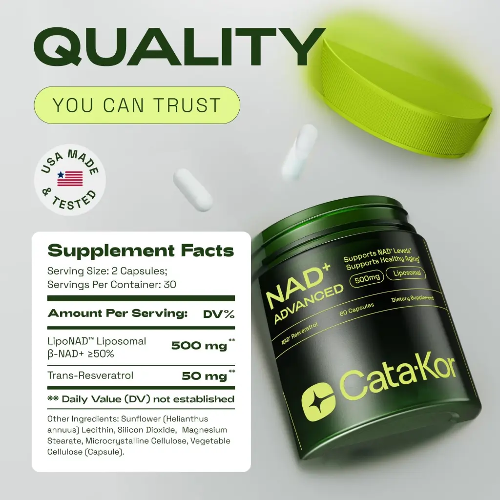 71ZN2fpJDZL._AC_SL1500_ (1).webp