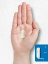 81I5rxww2PL._AC_SL1500_.webp
