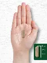 81bX0P3+riL._AC_SL1500_.webp