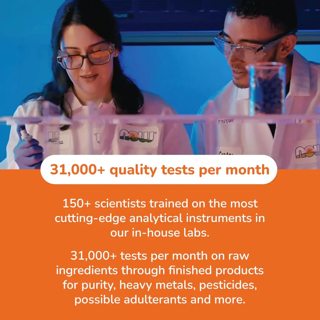 81TWi3KJRBL._AC_SL1500_ (1).webp