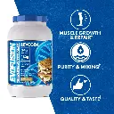 MaxClaimsEVOFUSION1223smores.webp
