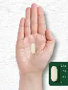 81Rz8aOhbWL._AC_SL1500_.webp