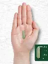 81pVYoKgB8L._AC_SL1500_.webp
