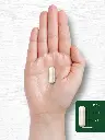 81mRYv1jCkL._AC_SL1500_.webp