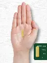 81Yf7l4MzPL._AC_SL1500_.webp